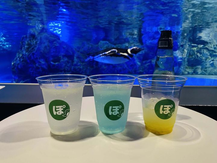 写真左から「」