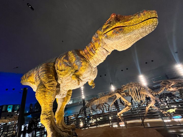 次のゴルフに福井はいかが？“レジェンド”ゴルフコースからグルメまで一挙紹介！