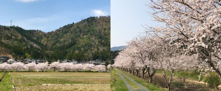 次のゴルフに福井はいかが？“レジェンド”ゴルフコースからグルメまで一挙紹介！