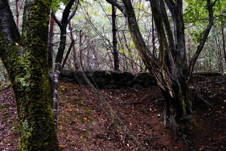 次のゴルフに福井はいかが？“レジェンド”ゴルフコースからグルメまで一挙紹介！