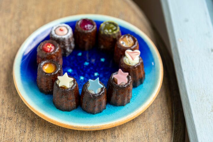 世界自然遺産のやんばるの森へ、星を観る旅に出よう