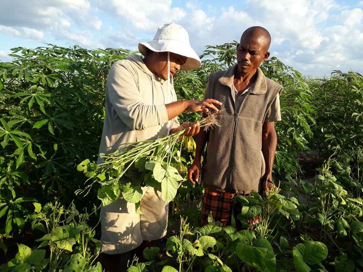 画像: 賞金は約3,900万円！リジェネラティブな活動を称える『Lush Spring Prize 2025』が応募受付を開始