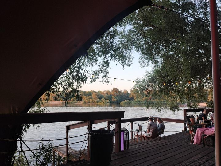 Photo：Dr. Aleksandra Jaskólska