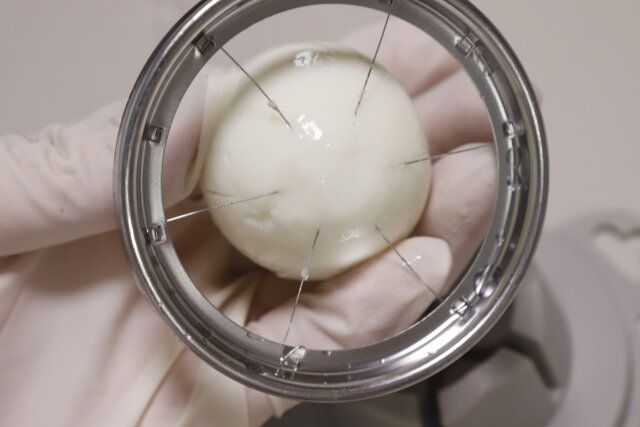 ダイソー 2way玉子カッター くし切り