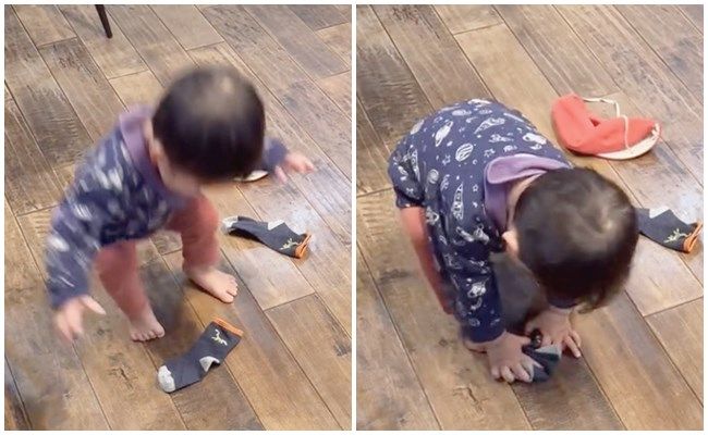 わんこに靴下をとられた男の子