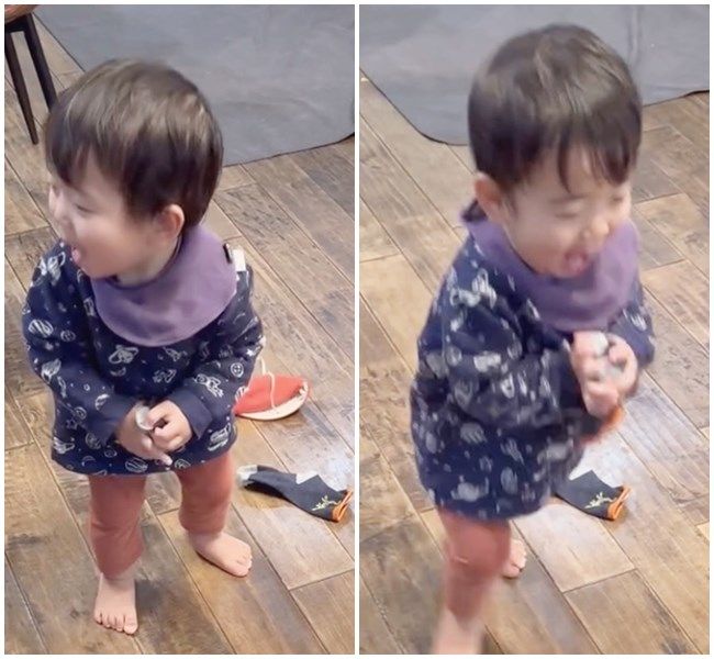 わんこに靴下をとられた男の子