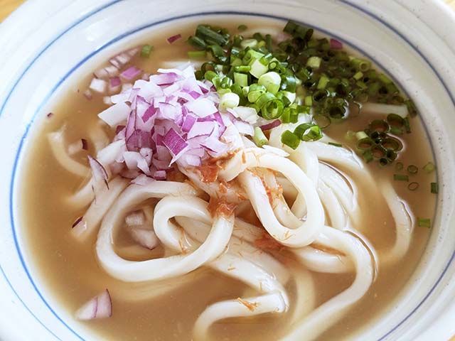 カルディ「麺にかけるだけ 鮭レモンつゆ」をかけたうどん。青ネギと紫玉ねぎのみじん切りがトッピングされている。