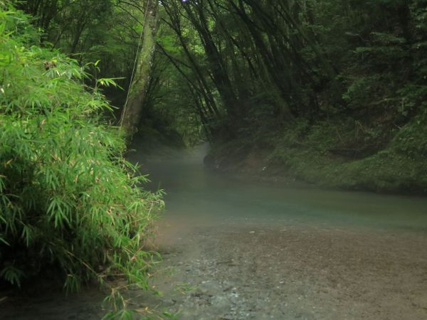 湧き水が流れ込む久留味川