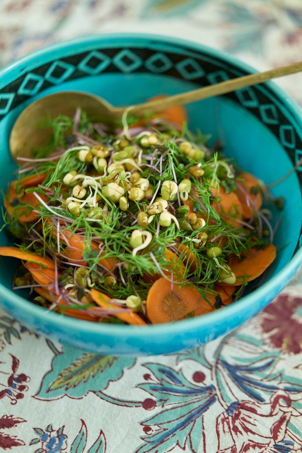 発芽した緑豆とにんじん、ディルのサラダ