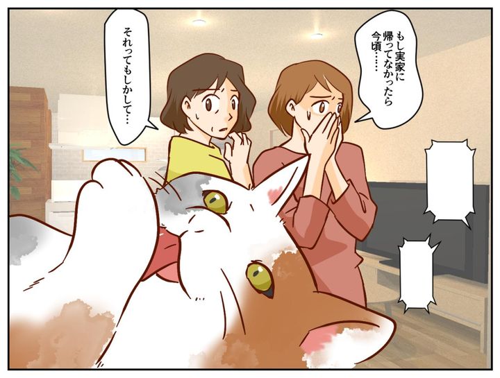 画像4: 実家からの知らせ