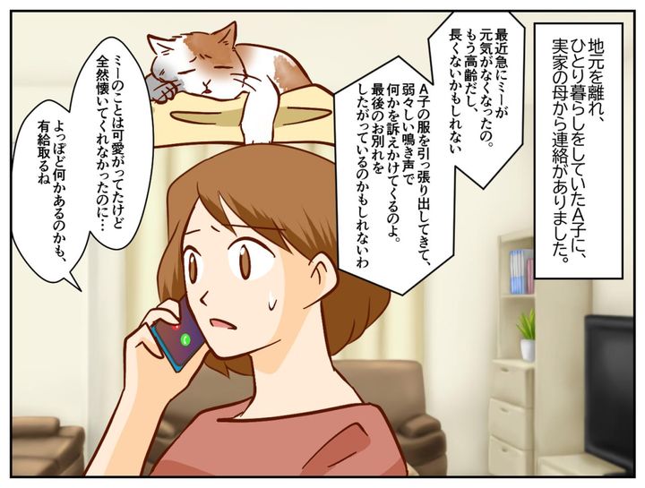 画像1: 実家からの知らせ