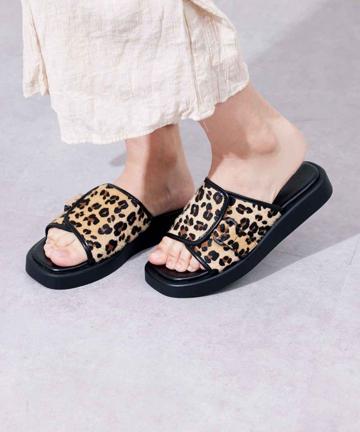 画像3: 出典：3COINS