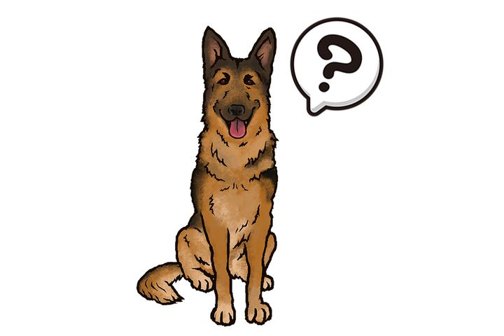 ガラスに映っているのは一体だれ！？