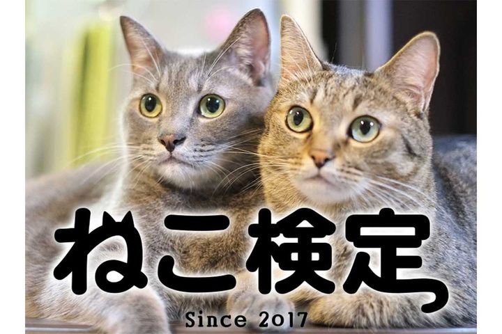 「ねこ検定」
