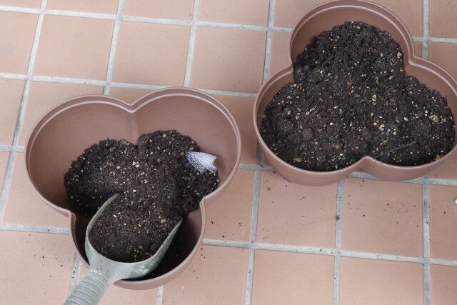 セリア タワーポット 使用例