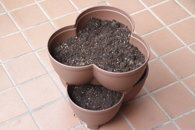 セリア タワーポット 使用例 スタッキング 種