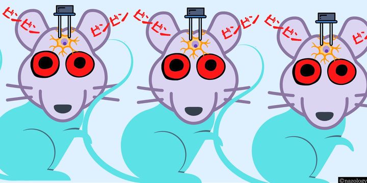 子供を虐待するときだけ活性化する「虐待回路」を発見！