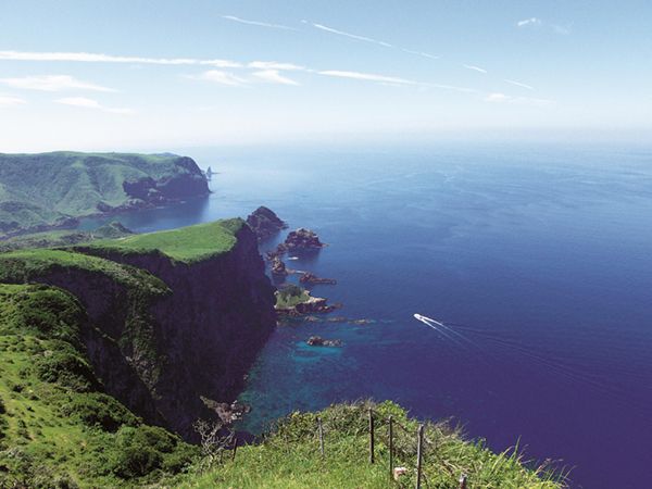 キャンパーに大人気！職人が作る魅力的なギアや食事とは？