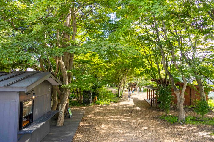 軽井沢の爽やかな森の中で読書とグルメを楽しむひととき♪「軽井沢コモングラウンズ」へ