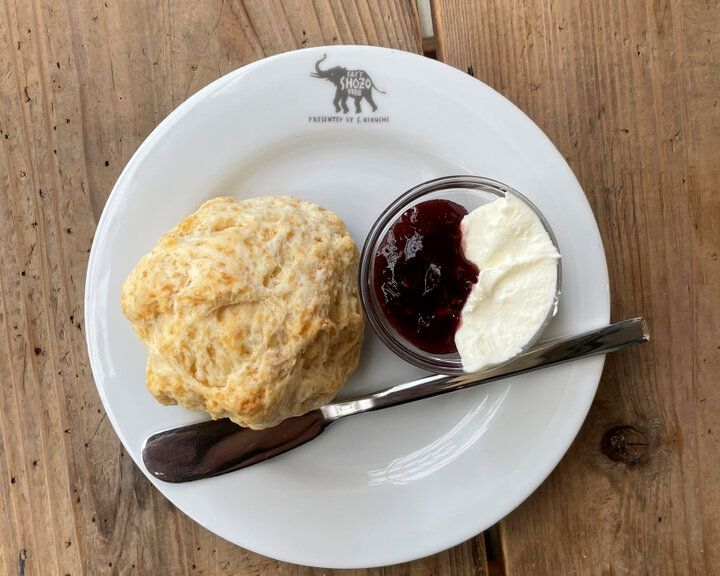 軽井沢の爽やかな森の中で読書とグルメを楽しむひととき♪「軽井沢コモングラウンズ」へ