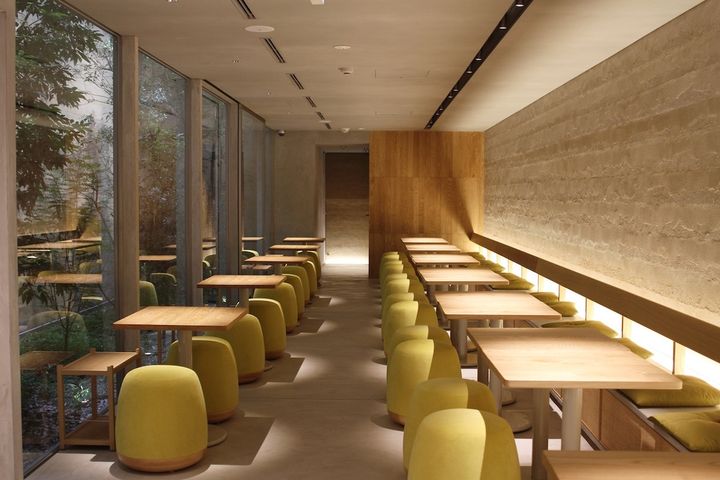 大きな窓からは中庭が見える