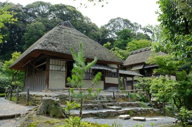 写真提供：高台寺