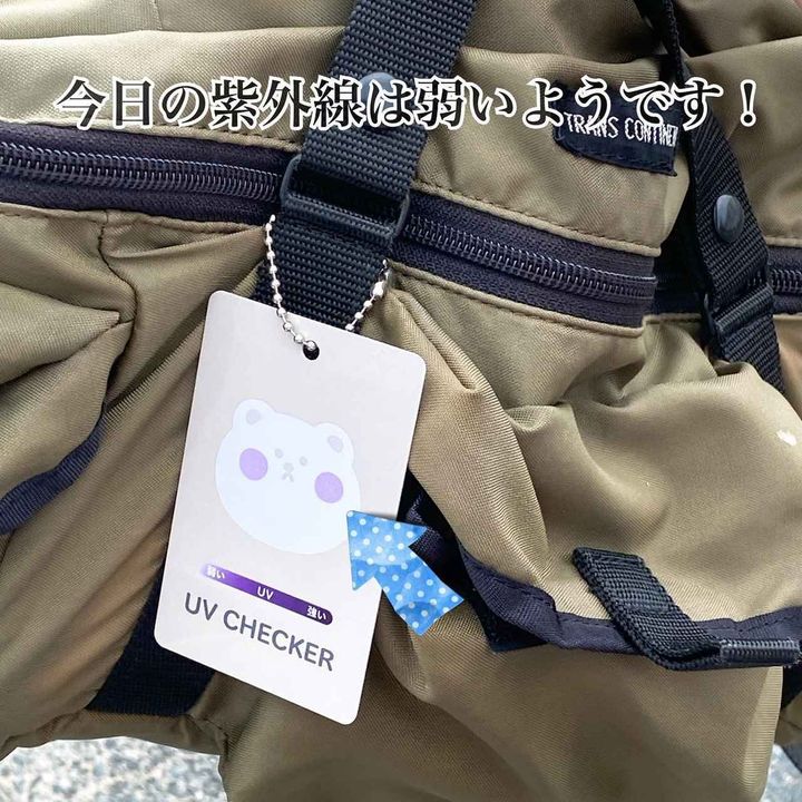 画像2: 出典：Instagram