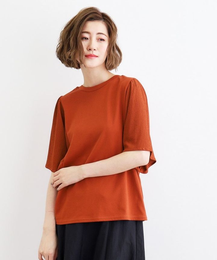 画像3: 出典：grove