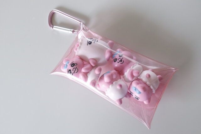 ダイソー クリアカラーポーチ（A、カラビナ付） ピンク 使用例