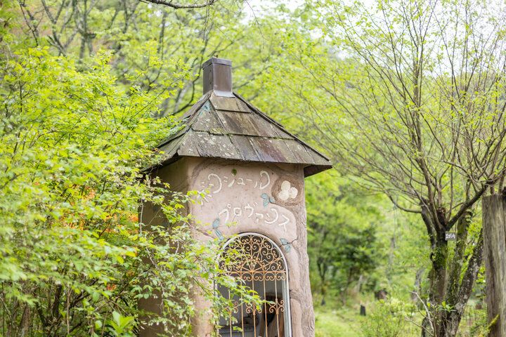 南阿蘇の森に溶け込むガーデンレストラン♪南仏をイメージして作られた「ボンジュール・プロヴァンス」で癒しのひとときを
