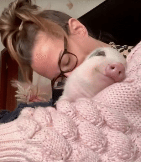 キスされてハグされて、幸せそうな表情の子豚ちゃん♪