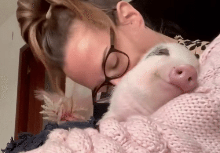 キスされてハグされて、幸せそうな表情の子豚ちゃん♪