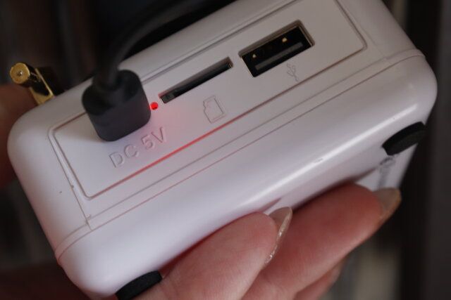 ダイソー レトロスピーカー（レコードプレーヤー型） Type-C