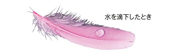 水を滴下したとき