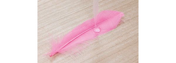 ピンクの羽根に、同量の化粧水を滴下したときのなじみ具合を観察する