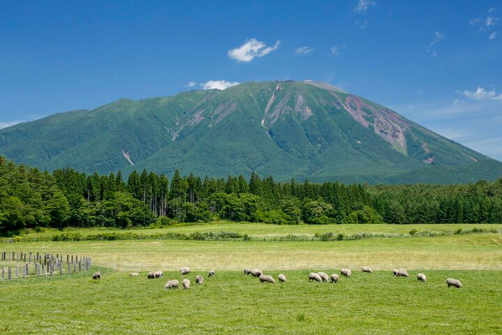 宮沢賢治の故郷・岩手で満天の星を眺め、童話の世界に浸る