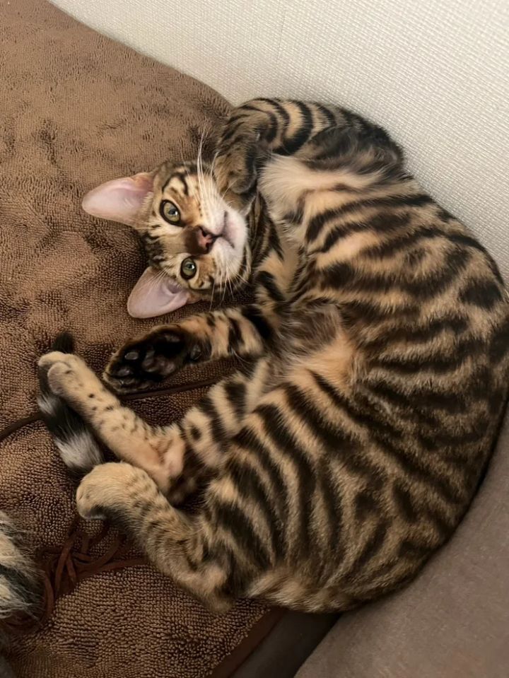 Arina nishiさんと考えるメイクアップ。“かわいい”って何ですか？feat.SENA【yoi Beauty Story vol.03 ルック編】_1