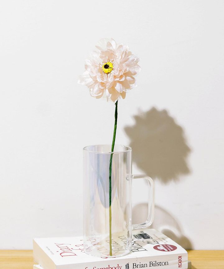 画像4: 出典：3COINS