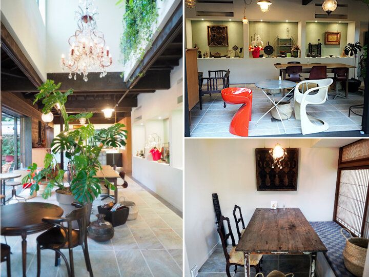 鎌倉の森でランチ♪ お花畑みたいな創作料理を癒やしのテラス席で「アッシュカフェ カマクラ」