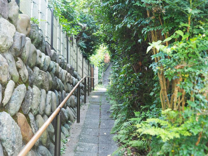 鎌倉の森でランチ♪ お花畑みたいな創作料理を癒やしのテラス席で「アッシュカフェ カマクラ」