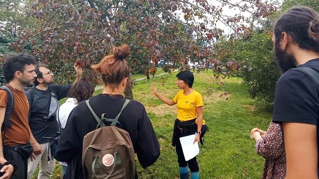 世界からお届け！SDGs通信ベルリン編。公共の植物をシェアする“食べられるランドスケープ”。