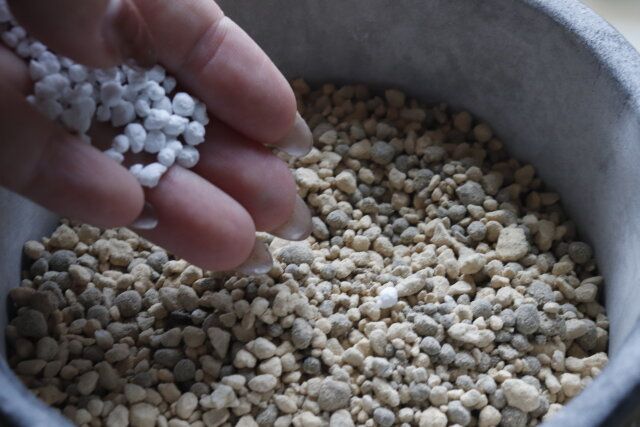 ダイソーのお手軽肥料マグァンプ K 中粒