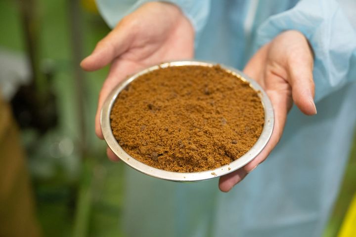 加工黒糖に分類される「玉糖」（宮崎製糖製）