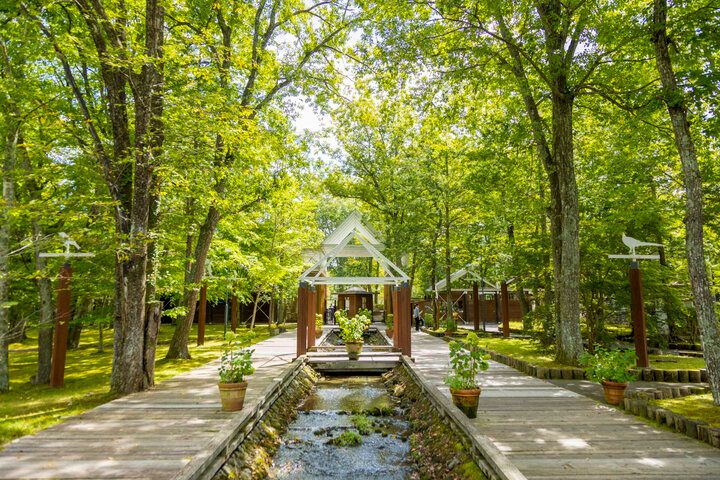 軽井沢の湖のほとりでアート鑑賞や名建築めぐり♪ 「軽井沢タリアセン」の湖畔をおさんぽ