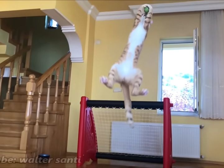 これぞスーパーセーブ！