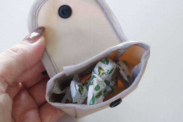 セリアのワイヤレスイヤホンケースホルダーを小物入れとして使う