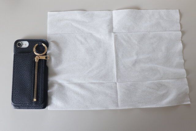 ダイソー バルくんダニよけフローリングウェットシート10枚 サイズ