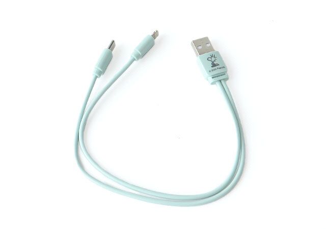リンネル10月号増刊スヌーピー付録レビュー充電用ケーブル