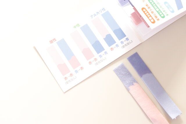 セリアの気軽に実験できるリトマス紙