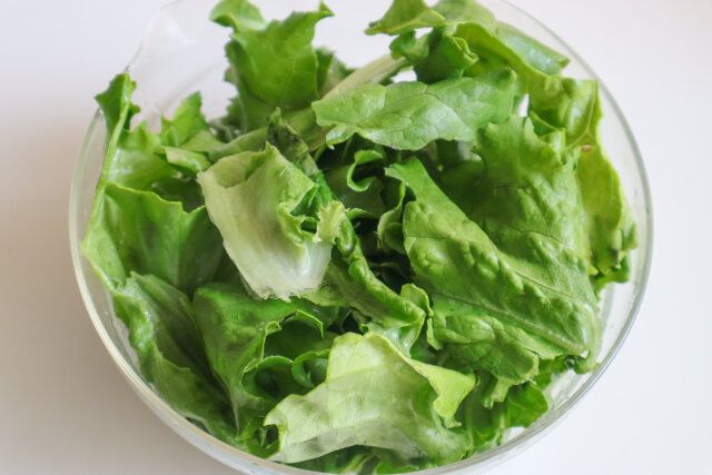 グリーンリーフをちぎる。